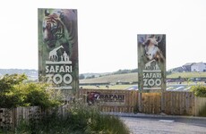 Calls for UK zoo to close after almost 500 animal deaths in four years