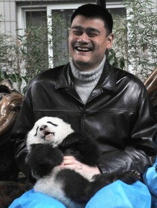 Picture of the day: China's retired NBA star Yao Ming... and a panda