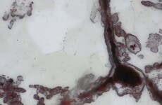 Fossils point to life on Earth four billion years ago