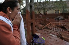 IN PICS: Death toll rises but Danube toxic sludge fear recedes