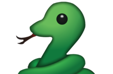 What Percent Shnake Are You?