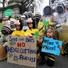 Hive of activity outside Dáil as beekeepers protest against new laws
