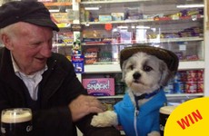 The great story behind *that* photo of a dog and an auld lad having a Guinness