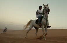Could horses be the way forward for women in Saudi Arabia?