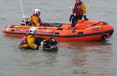 No bull: RNLI tasked to rescue cattle which had fallen from a cliff