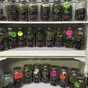 Cannabis users to be fined as Israel approves partial decriminalisation of drug