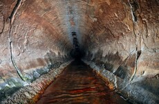 Indian police find 19 female foetuses dumped in sewer
