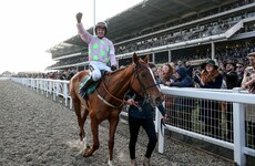 No Limini as 13 horses confirmed for the Champion Hurdle