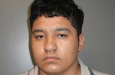 'It was a gruesome scene': Teenager arrested for allegedly decapitating mother in US