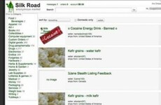 Alleged Silk Road administrator takes case to Supreme Court in a bid to avoid US extradition