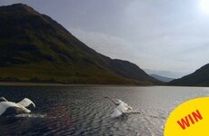 People were blown away by the west coast on TG4's 'Planet Earth na Gaeilge' last night