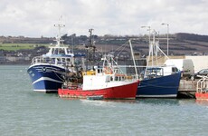 Why is the government arguing to let UK boats fish off Ireland's coasts?
