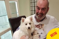 Two daughters in Carlow got their dad the best tshirt to celebrate his love of the family dog