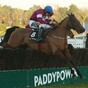 Jack Kennedy - The Kerry teenager set to make his mark on Cheltenham