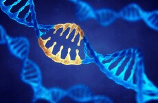 Gene that causes sudden death in young people identified