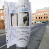 Search for Monica Riordan underway in Dublin