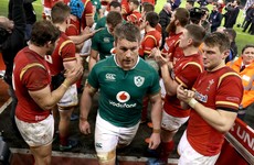 Schmidt stresses positives but Ireland leave Cardiff in deep disappointment
