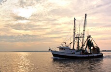 Poll: Should Northern Ireland boats be allowed to fish off the Republic of Ireland's coasts?
