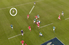 Analysis: The error that Joe Schmidt singled Paddy Jackson out for