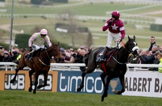 The Cheltenham Curse? Plenty of stars will be missing from this year's festival