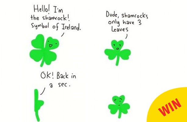 an-irish-artist-has-issued-a-timely-reminder-on-the-difference-between-shamrocks-and-four-leaf