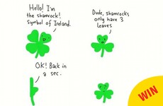 An Irish artist has issued a timely reminder on the difference between shamrocks and four-leaf clovers
