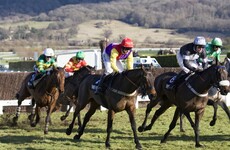 'They're not your friend': Warning over bookmakers as Cheltenham festival begins