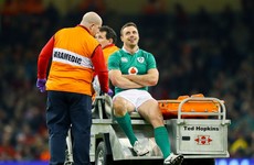 'Stinger' won't keep Murray from facing England, but it's a leg fracture for Tommy Bowe
