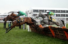The complete chancer’s guide to getting through the Cheltenham Festival