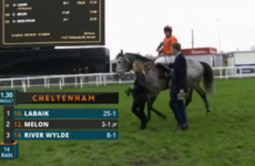 'I'll be going home a happy lad' - 17-year-old from Dingle gets Irish off to a flier at Cheltenham