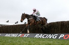 Poll: Who do you think will win today's Queen Mother Champion Chase at Cheltenham?