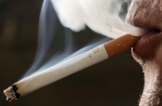 Nearly 70 per cent say their socialising causes increase in smoking
