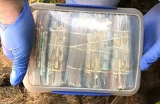 Gardaí seize drugs worth €285,000 and €100,000 in cash in Meath