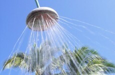 The burning question*: Shower morning or evening?