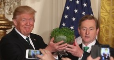 Trump's 'new friend': What happened at the White House, when Enda came to visit...