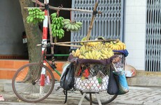 For exiled Nepali women, donated bicycles are a passport to a better life