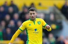 Worrying news for Ireland as Wes Hoolahan suffers injury
