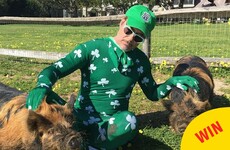 A complete rundown of the weird ways celebrities wished us a happy St Patrick's Day