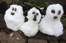 Fun poll: How do you feel about snow?