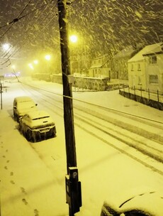 There's snow everywhere* and here are the pictures to prove it