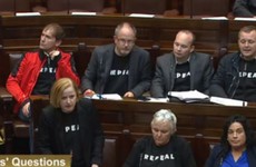 Dáil report shows 'pixie hats and turtleneck jumpers' unacceptable dress for foreign parliaments