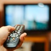 Poll: Would you pay more for your TV licence?