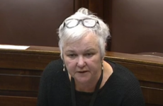 'You're trying to shut down discussion': Dáil suspended after Bríd Smith raises Halawa case
