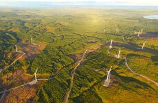 Ireland's largest windfarm begins powering 50,000 homes
