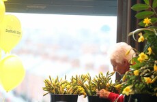 Pictures: Here's what's been happening for Ireland's 30th Daffodil Day
