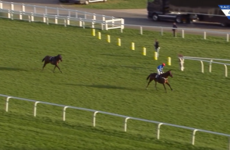 Jockey banned for 28 days after losing this race with a nightmare mistake