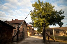 Naked people slaughter a sheep at Auschwitz death camp