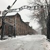 Poland charges 11 over bizarre Auschwitz 'slaughtered lamb' protest