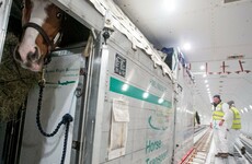 The 60-year-old company buying Ireland's best horses for Chinese billionaires