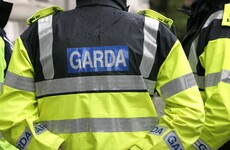 Gardaí appeal for information after 91-year-old woman struck by car